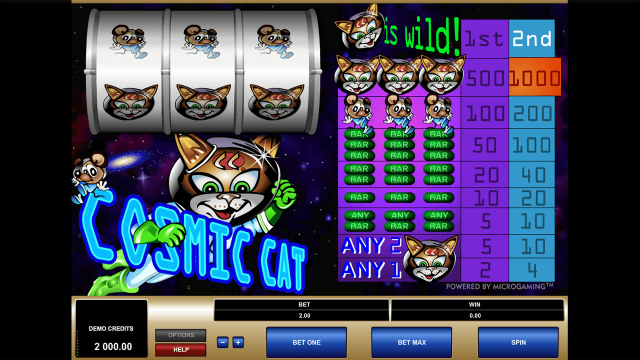 Cosmic Cat 1