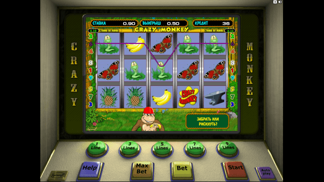 Crazy Monkey 9