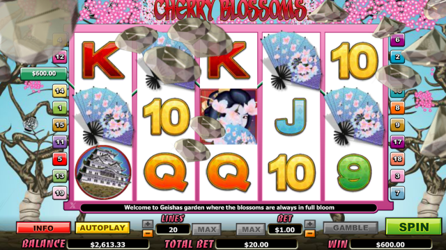 Cherry Blossoms 9